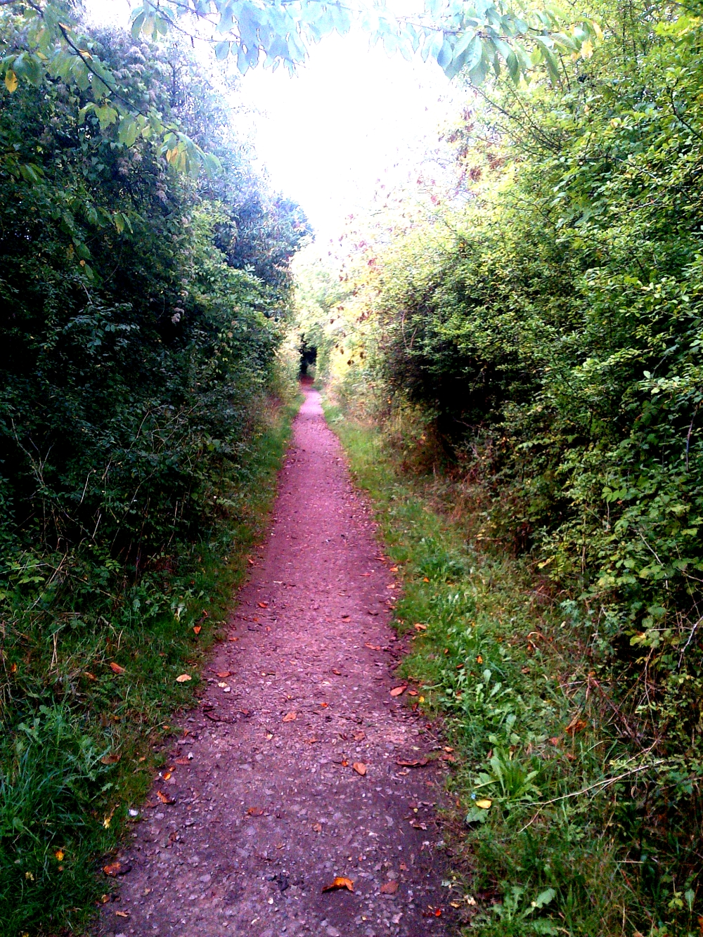 The Long Path Behind The Hospital